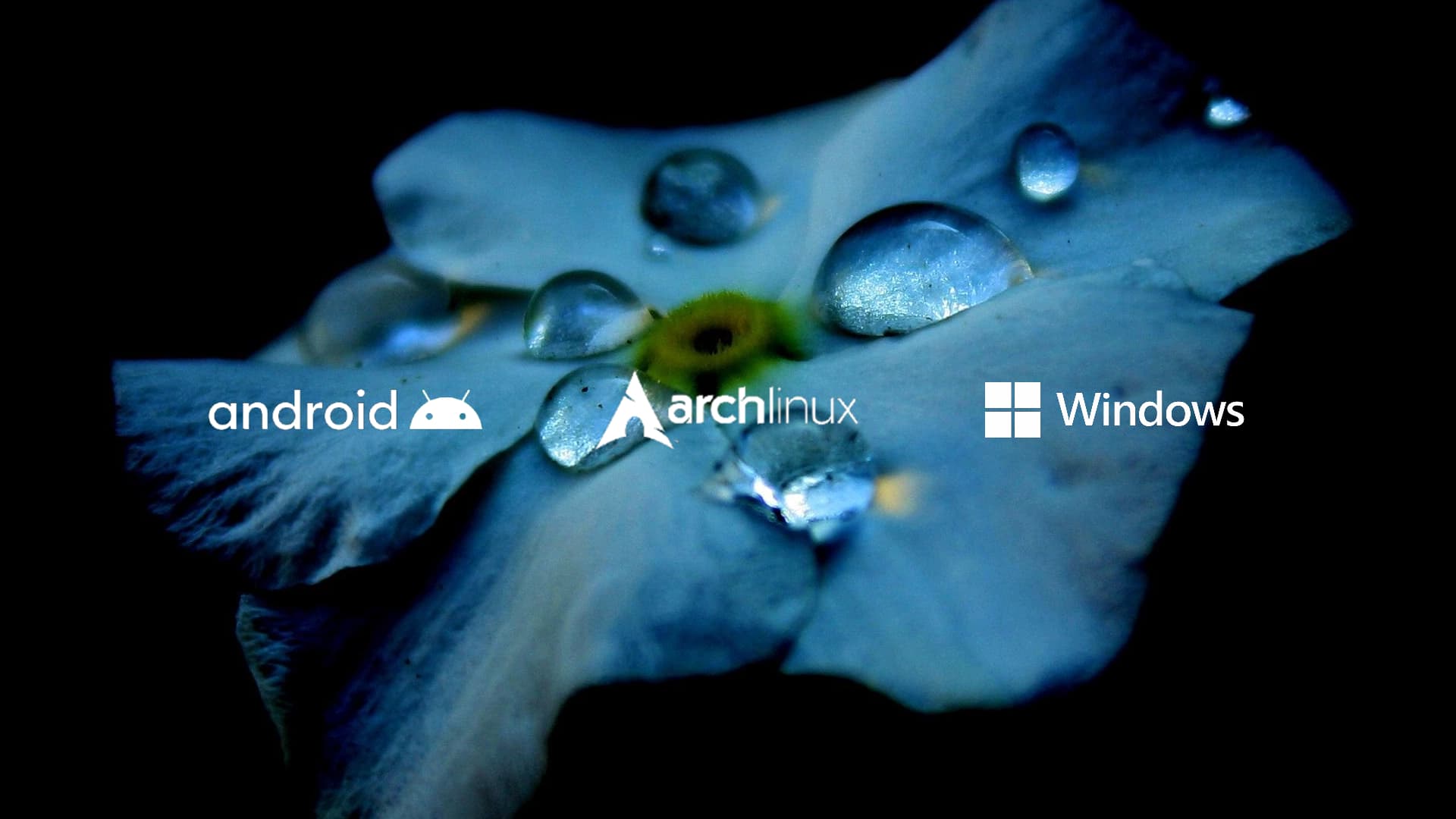 CÀI Arch linux cho máy lap ghẻ legacy